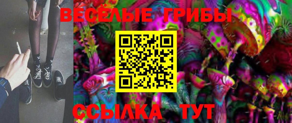 Галлюциногенные грибы Cubensis Крымск